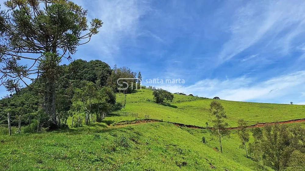 Sítio, 1 quarto, 9 hectares - Foto 4