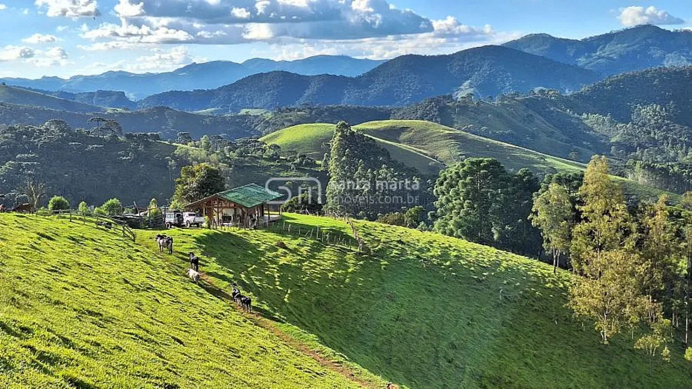 Sítio, 1 quarto, 9 hectares - Foto 1