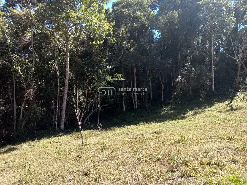Sítio, 5 hectares - Foto 1