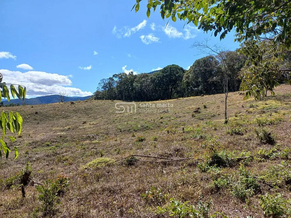 Sítio, 5 hectares - Foto 8