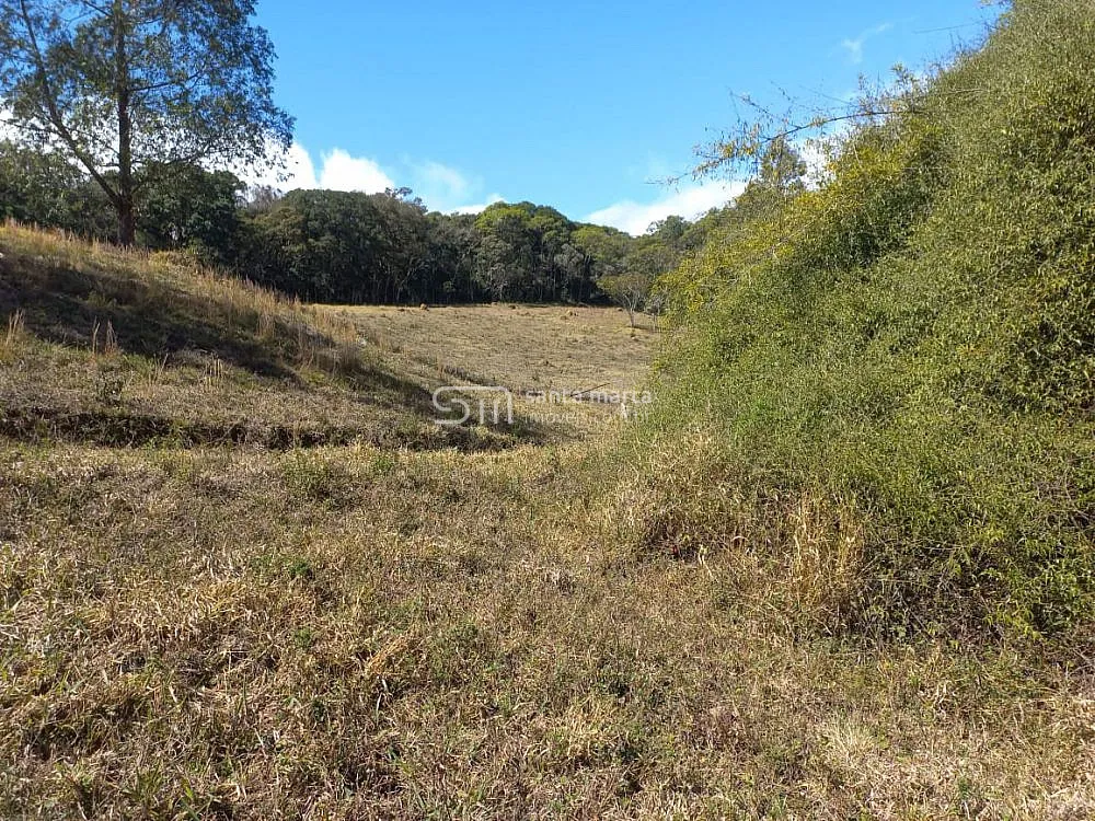 Sítio, 5 hectares - Foto 4