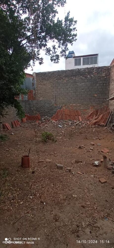 Casa à venda com 3 quartos - Foto 3