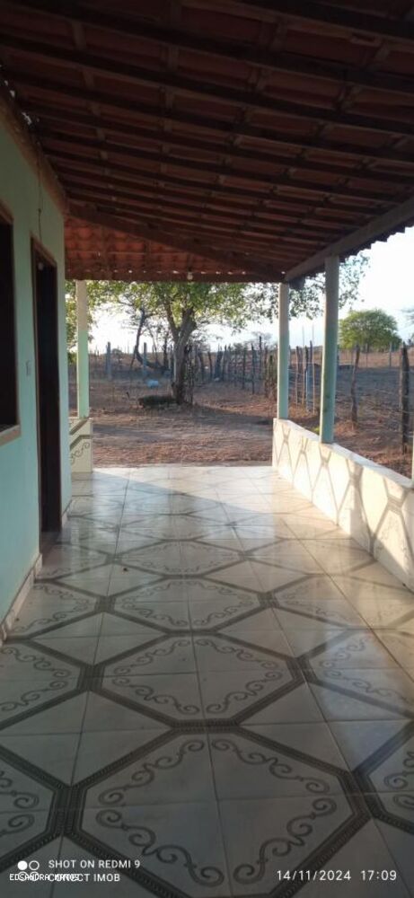 Sítio à venda com 2 quartos, 3350m² - Foto 4