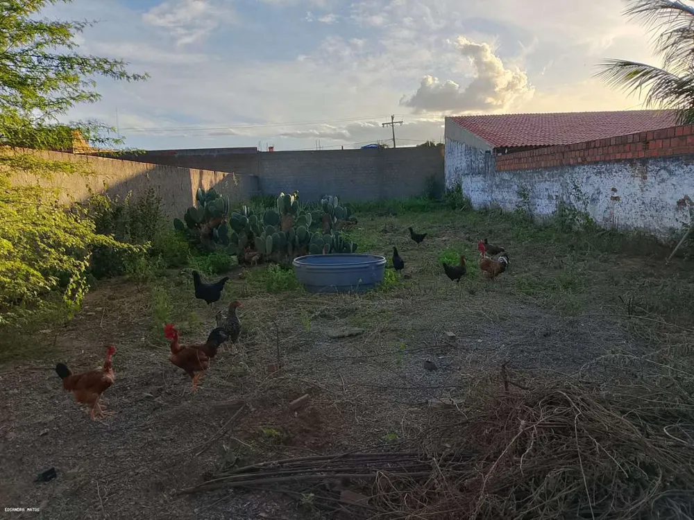 Terreno - Foto 2