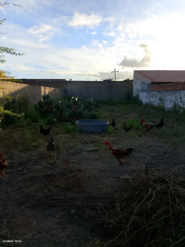 Terreno - Foto 4