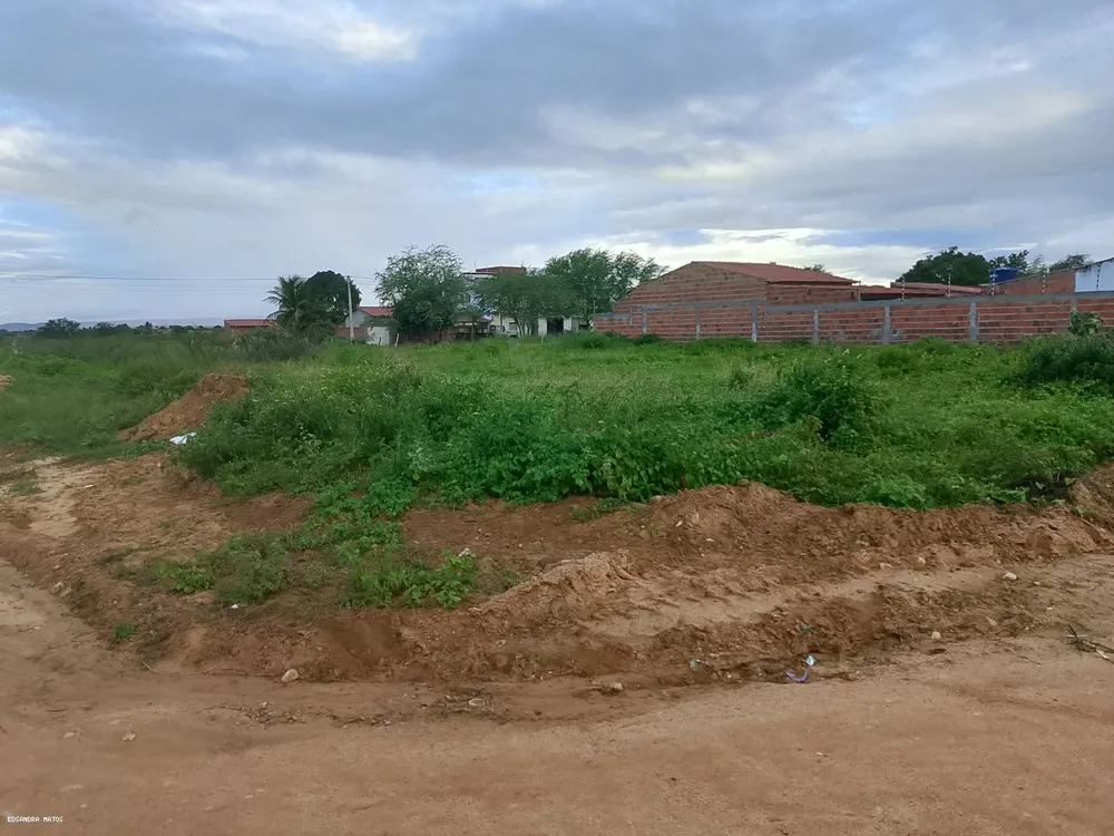 Terreno - Foto 1