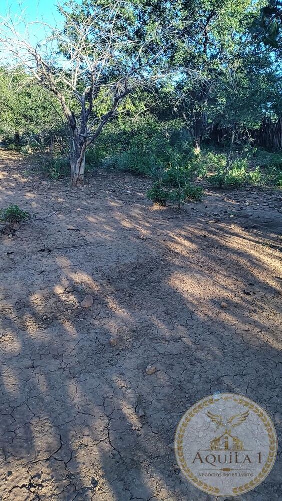 Chácara, 2200 hectares - Foto 3