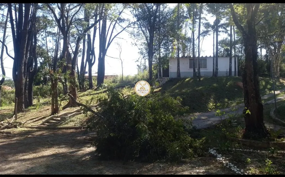 Chácara, 299 hectares - Foto 12