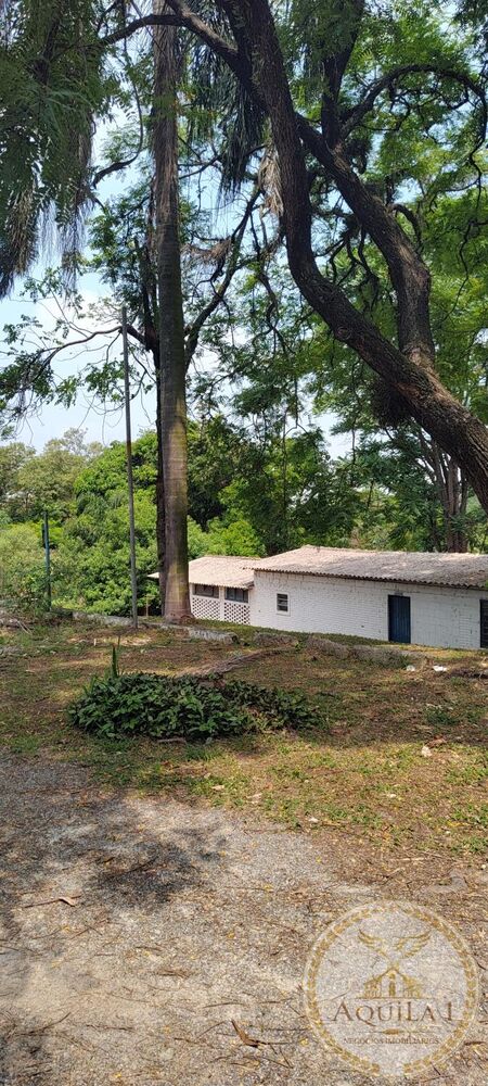 Chácara, 3 quartos, 160 hectares - Foto 13