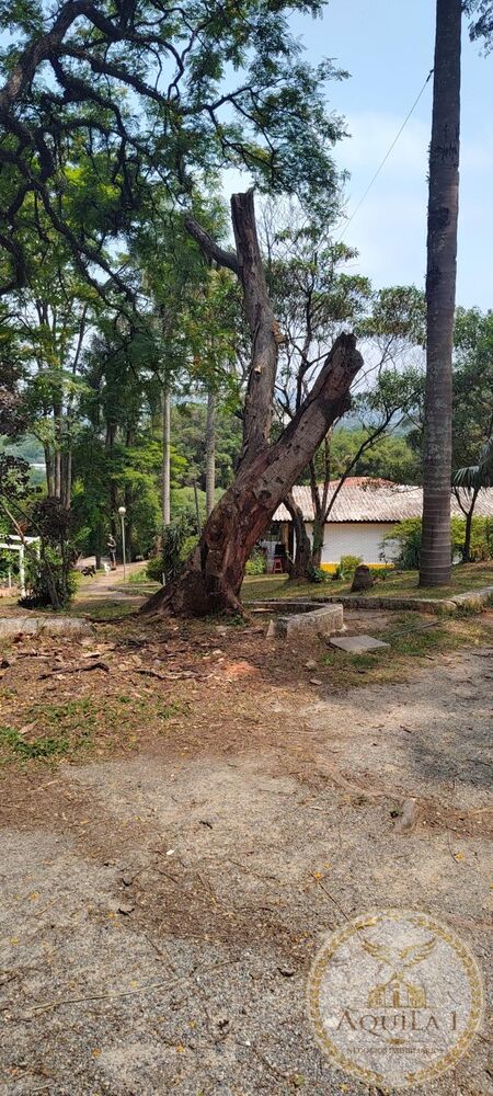 Chácara, 3 quartos, 160 hectares - Foto 8