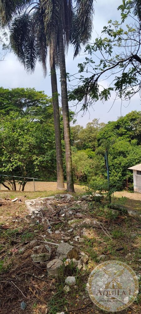 Chácara, 3 quartos, 160 hectares - Foto 2