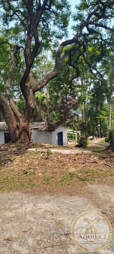 Chácara, 3 quartos, 160 hectares - Foto 12