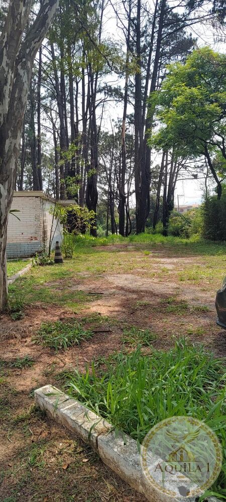Chácara, 3 quartos, 160 hectares - Foto 7