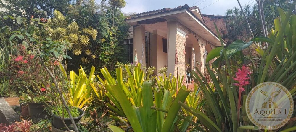 Casa, 2 quartos, 530 m² - Foto 5