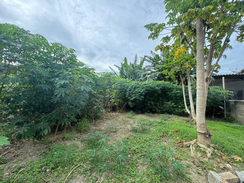 Terreno, 300 m² - Foto 4