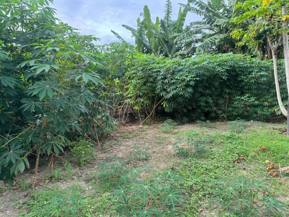 Terreno à venda, 826m² - Foto 4