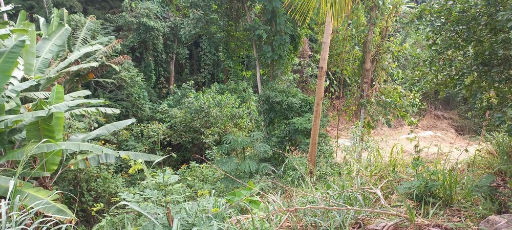 Terreno, 456 m² - Foto 5