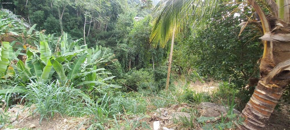 Terreno, 456 m² - Foto 7