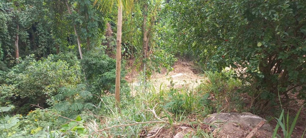 Terreno, 456 m² - Foto 6