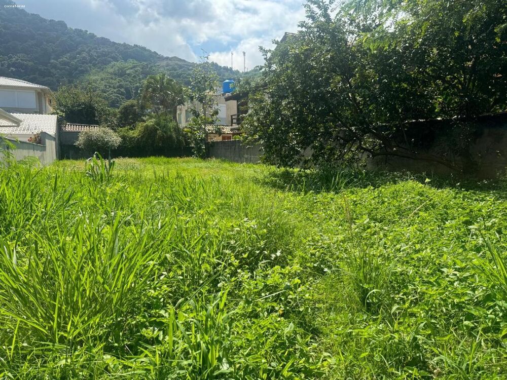 Terreno à venda, 408m² - Foto 7