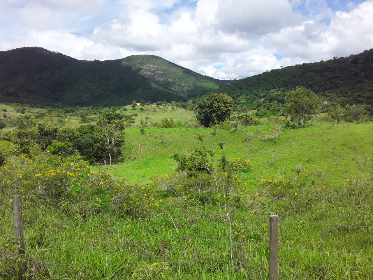 Fazenda à venda com 3 quartos, 500m² - Foto 1