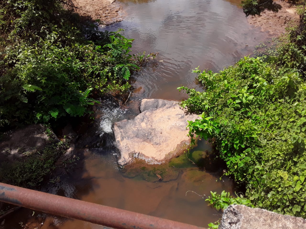 Fazenda à venda com 3 quartos, 500m² - Foto 6