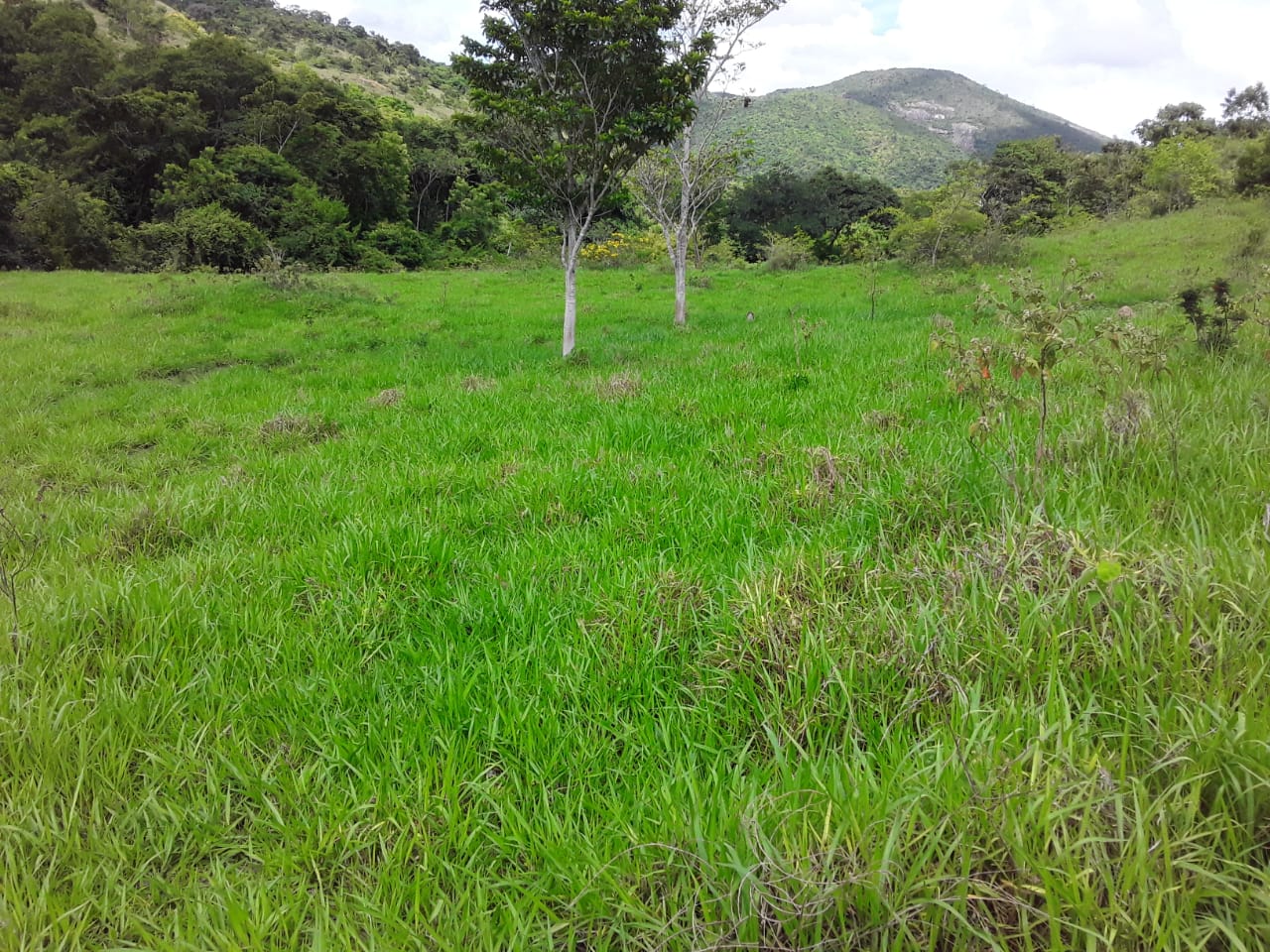 Fazenda à venda com 3 quartos, 500m² - Foto 5