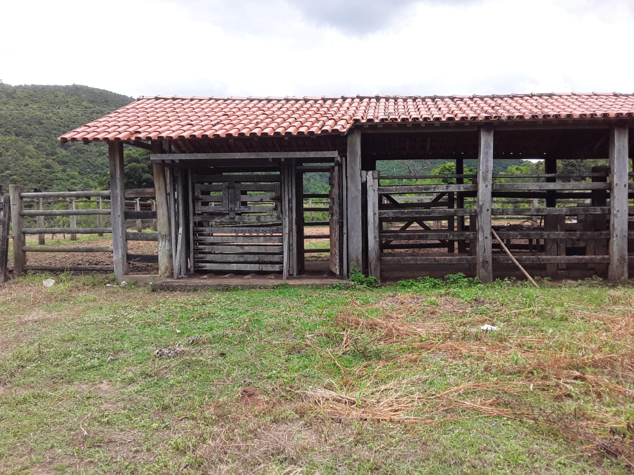 Fazenda à venda com 3 quartos, 500m² - Foto 4