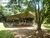 Sítio, 13 quartos, 4 hectares - Foto 6