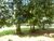 Sítio, 13 quartos, 4 hectares - Foto 7