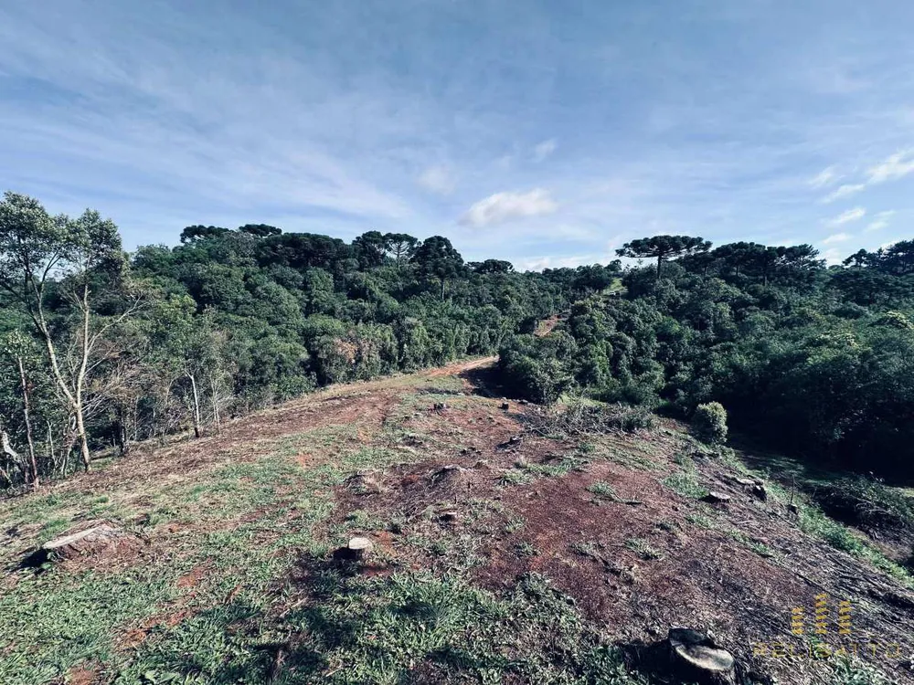 Terreno - Foto 6