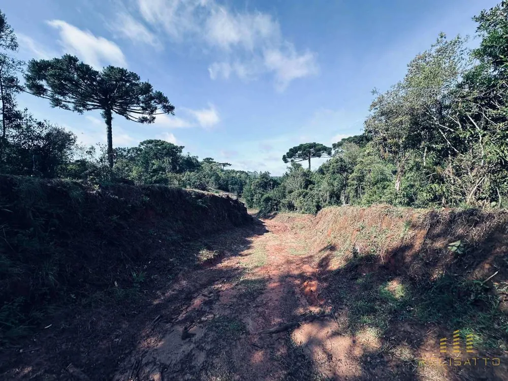 Terreno - Foto 10