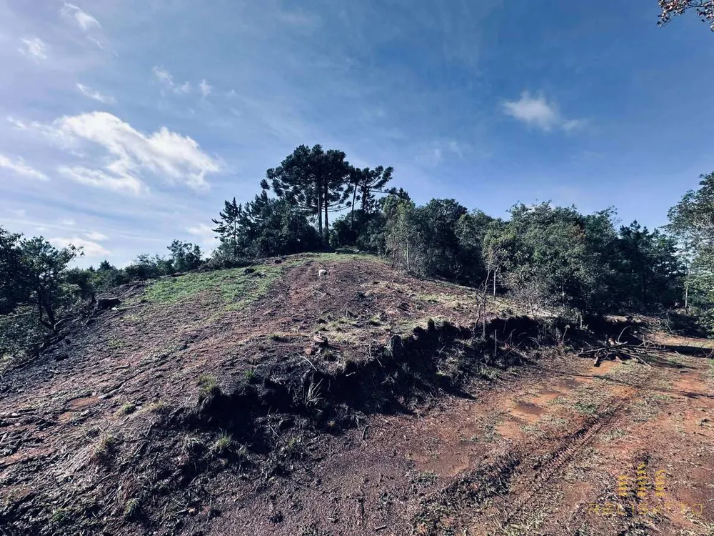 Terreno - Foto 7