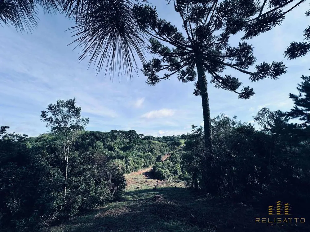 Terreno - Foto 4