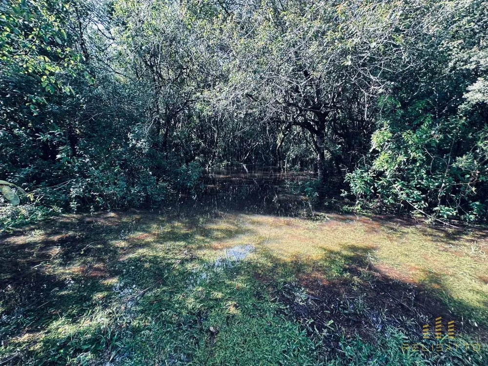 Terreno - Foto 9