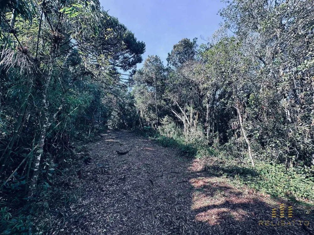 Terreno - Foto 8