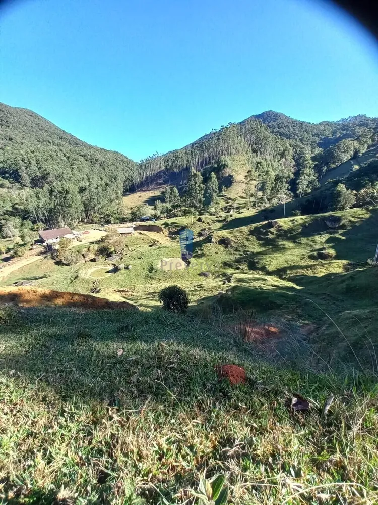 Sítio, 70 hectares - Foto 4