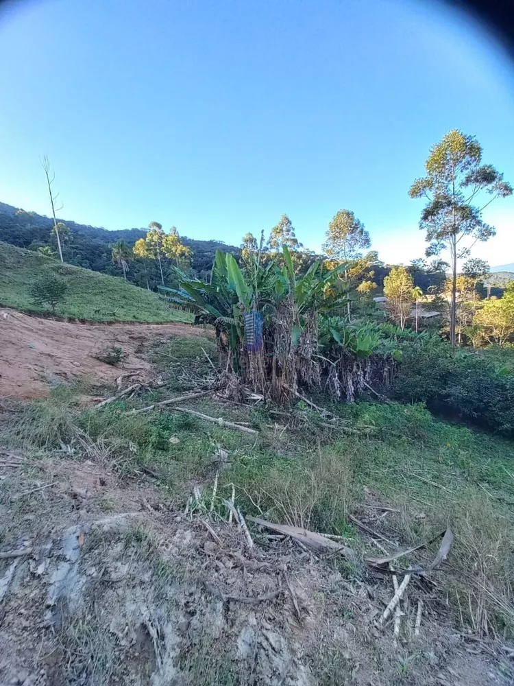 Sítio, 70 hectares - Foto 3