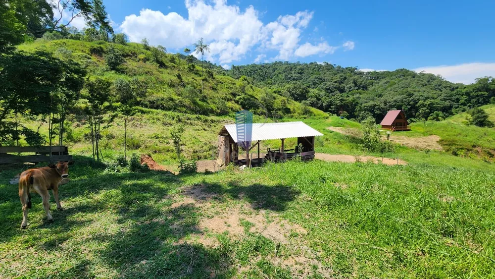 Chácara, 2 quartos, 10 hectares - Foto 3