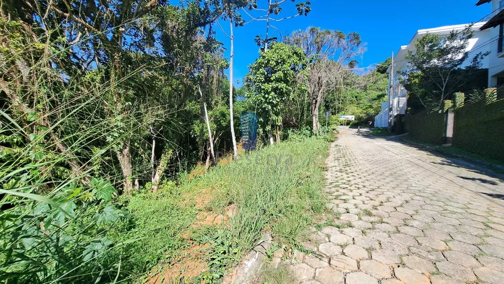 Terreno, 243 m² - Foto 3