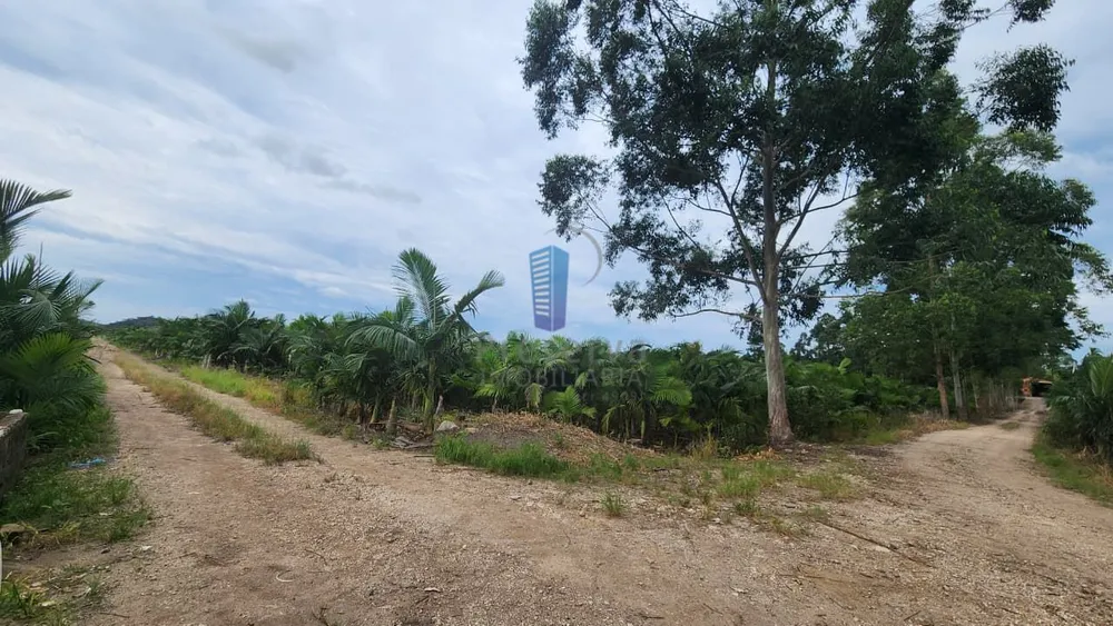 Terreno, 68 hectares - Foto 4