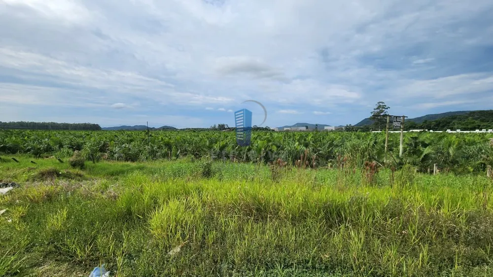 Terreno, 68 hectares - Foto 3
