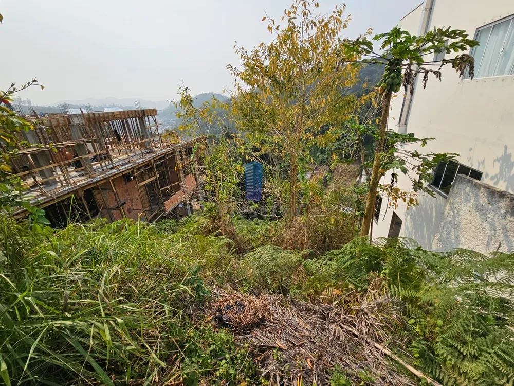 Terreno, 465 m² - Foto 6