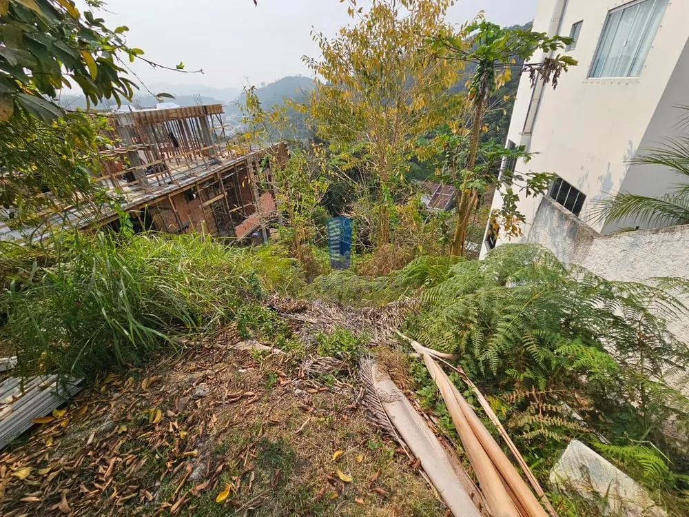 Terreno, 465 m² - Foto 7