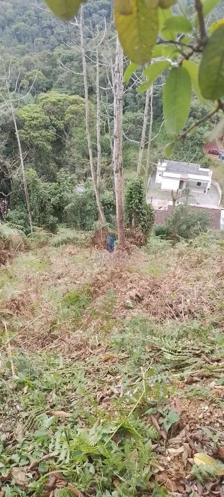 Terreno, 465 m² - Foto 2