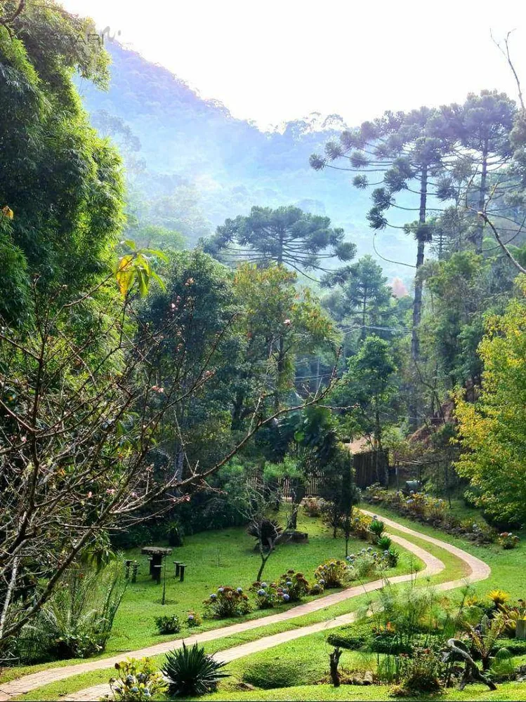 Chácara, 5 quartos, 2 hectares - Foto 3