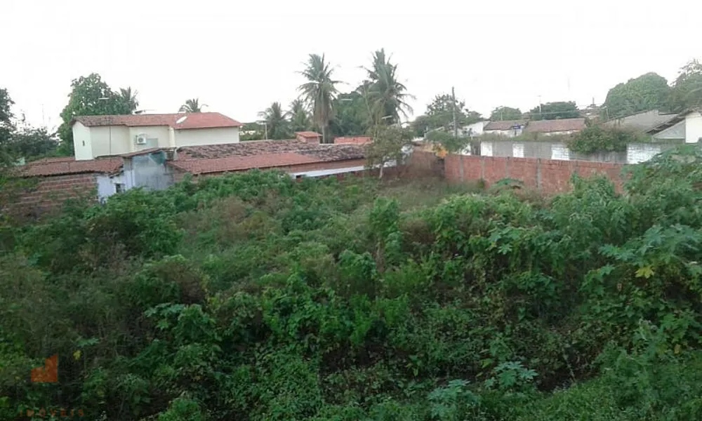 Terreno, 1215 m² - Foto 6
