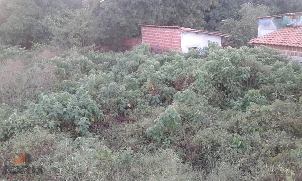 Terreno, 1215 m² - Foto 8