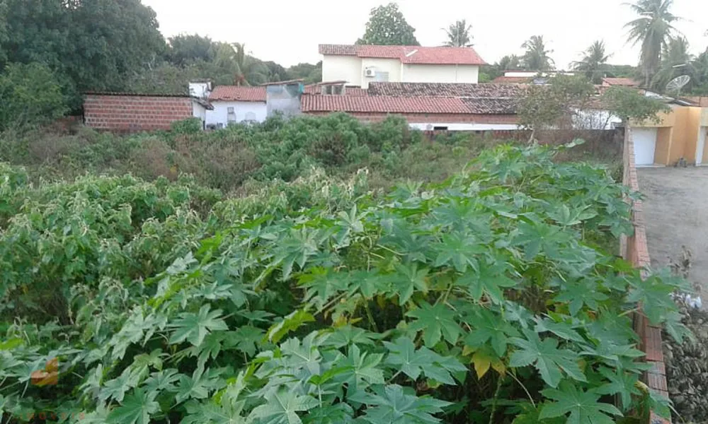 Terreno, 1215 m² - Foto 4