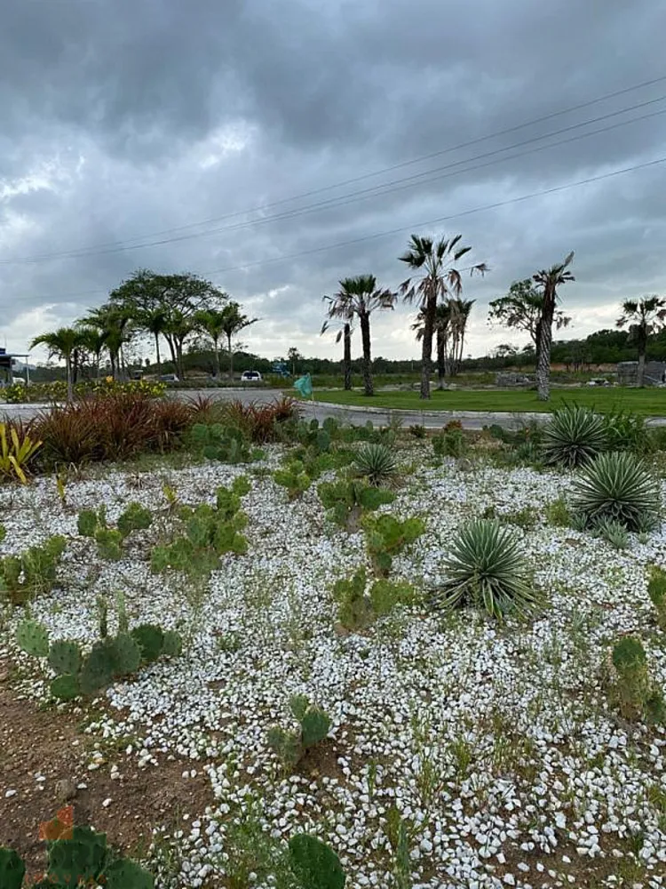 Terreno, 150 m² - Foto 12